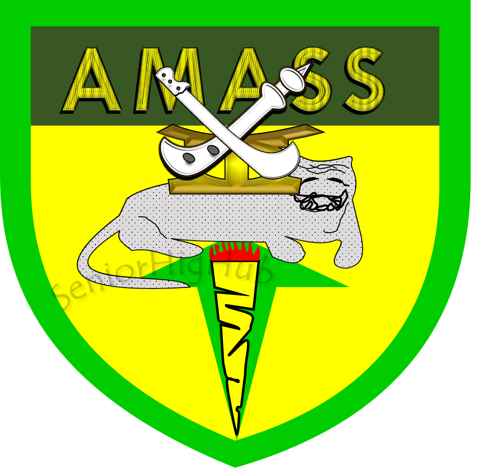 Assin Manso SHS